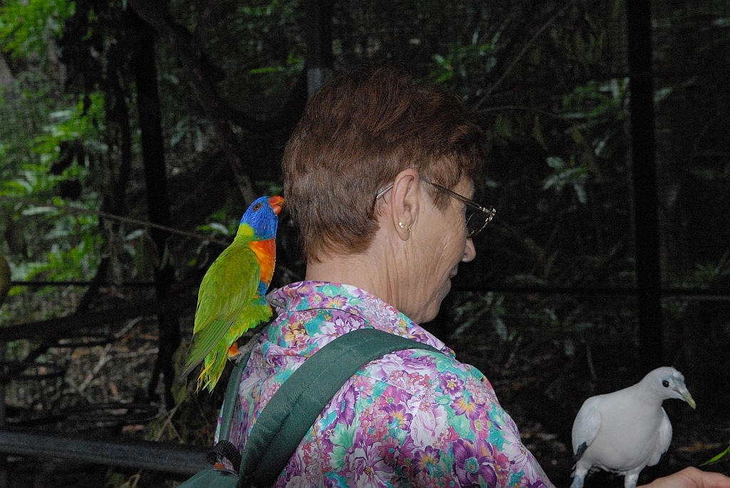 0118 Cairns Tropical Zoo.jpg